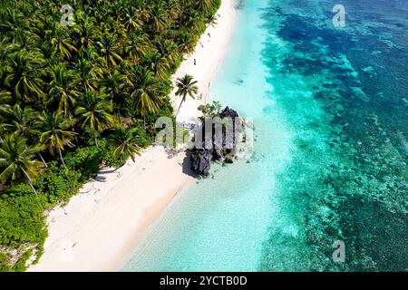 Ein wunderschöner leerer tropischer Strand mit weißem Sand, kristallklarem Wasser und dichten Dschungelpalmen. Labenki Inseln, Sulawesi, Indonesien, Asien Stockfoto