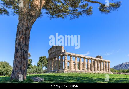 Tempel der Athena in Paestum in Italien. Stockfoto