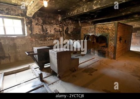 Einäscherungsöfen im Konzentrationslager Auschwitz bei Krakau, Polen Stockfoto