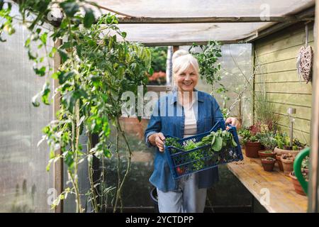 Lächelnde Seniorin, die eine Kiste mit frisch geerntetem Gemüse aus ihrem Gewächshaus hält Stockfoto