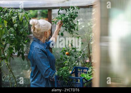 Seniorin kümmert sich um Pflanzen in ihrem Gewächshaus Stockfoto