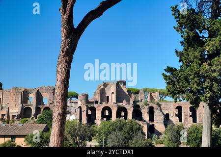 Circus Maximus, größter Zirkus, Circo Massimo, Aventinenhügel, Palatin, altes Rom, Inhaltsverzeichnis wechseln, altes Rom, Latium, Stockfoto