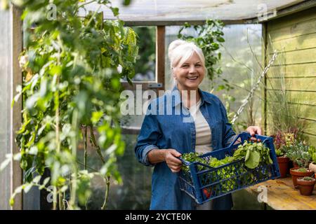 Lächelnde Seniorin, die eine Kiste mit frisch geerntetem Gemüse aus ihrem Gewächshaus hält Stockfoto