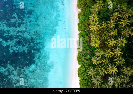 Aus der Vogelperspektive auf einen wunderschönen abgeschiedenen weißen Sandstrand mit Palmen und üppiger Vegetation im Hintergrund auf der Labengki-Insel in sulawesi, Inndonesien Stockfoto