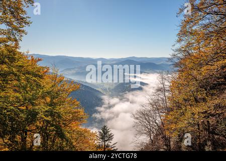 Wunderschöne herbstliche Berglandschaft, umrahmt von bunten Herbstbäumen. Pieniny Mountains. Blick vom Weg zum Gipfel der Trzy Korony. Sromowce Nizne, P Stockfoto