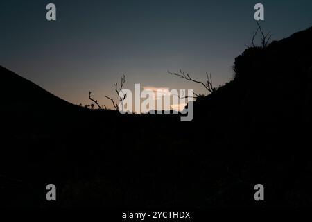 Silhouette aus Bergform und Baumzweigen vor einem goldenen Sonnenuntergang mit zarten Wolken Stockfoto
