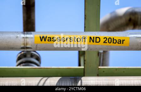 Oberhausen, Nordrhein-Westfalen, Deutschland - Rohrleitungen für Wasserstoff und Sauerstoff. Grüner Wasserstoff bei Air Liquide, Wasserstoffproduktion bei OQ Chemical Stockfoto