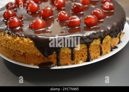 Kuchen mit eigenen Händen zubereitet. Weißer Biskuitkuchen „Drunken Cherry“, dekoriert mit Schokoladenglasur mit karamellisierten, roten und hellen, süßen Kirschen. Stockfoto