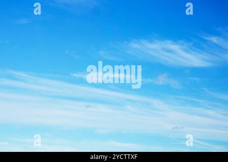 Ein atemberaubender blauer Himmel, geschmückt mit geschwollenen weißen Wolken, die anmutig durch ihn gleiten und eine faszinierende natürliche Landschaft über uns schaffen Stockfoto