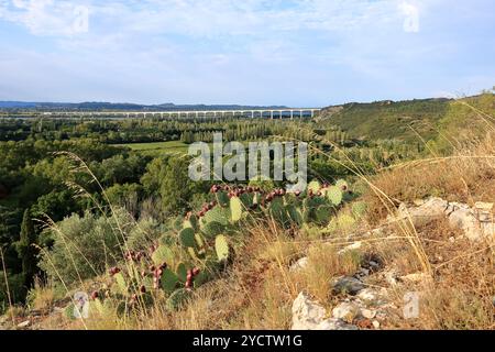 Die lange Brücke Viaduc Double Ferroviaire über die Rhone für TGV-Züge in der Nähe von Avignon in der Provence, Frankreich Stockfoto