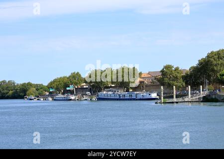 Avignon in Frankreich - 25. August 2024: Boote legen nachmittags auf der Rhone an Stockfoto