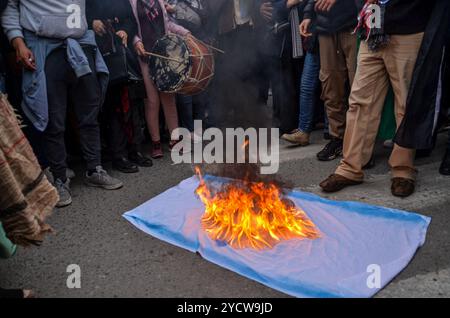 Tunis, Tunesien. 17. Februar 2024. Demonstranten nehmen an einer großen Demonstration entlang der Habib Bourguiba Avenue in Tunis Teil, um gegen den andauernden israelischen Krieg gegen Gaza zu protestieren. Die Teilnehmer schwenkten die palästinensische Flagge und verlangten einen sofortigen Waffenstillstand im verwüsteten Gazastreifen. Während des marsches verbrannten einige Demonstranten die israelische Flagge Stockfoto