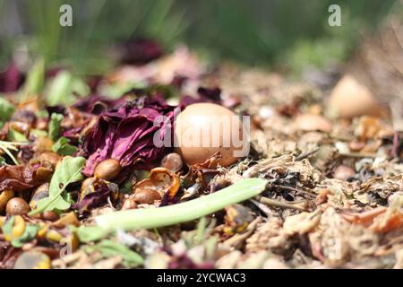 Ein großer Haufen dunkler, nährstoffreicher Kompost in einer natürlichen Gartenumgebung, bereit für die Bodendüngung. Ideal für Gartenarbeit, Nachhaltigkeit und Bio Stockfoto