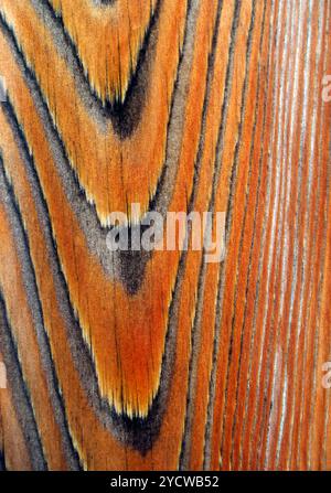 Holzzaunplatte bei Regen Stockfoto