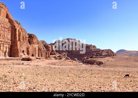 Petra, Wadi Musa in Jordanien – 13. Mai 2024: Die Menschen passieren die königlichen Gräber in Petra Stockfoto