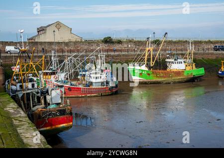 Fischereischleppnetzboote am Hafen Kai bei Ebbe Maryport Cumbria England Vereinigtes Königreich GB Großbritannien Großbritannien Großbritannien Großbritannien Großbritannien Großbritannien Großbritannien Stockfoto