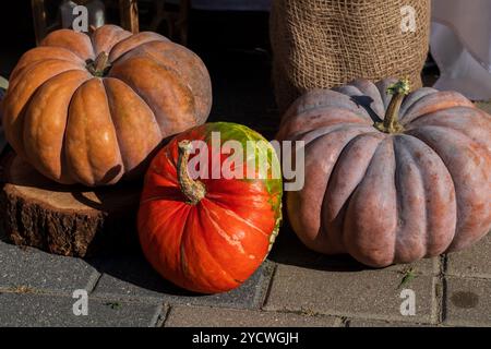 Herbst- und Halloween-Dekoration aus drei verschiedenen orangen Kürbissen vor der Haustür Stockfoto