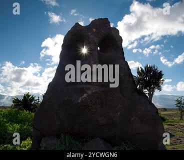 Moai auf der Osterinsel, Rapa Nui mit Sonne, die durch die Augen scheint. Alte Steinskulptur inmitten von Bäumen und Natur. Kreative Positionierung des Sonnenstrahls Stockfoto