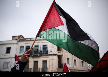 Tunis, Tunesien. 17. Februar 2024. Demonstranten nehmen an einer großen Demonstration entlang der Habib Bourguiba Avenue in Tunis Teil, um gegen den andauernden israelischen Krieg gegen Gaza zu protestieren. Die Teilnehmer schwenkten die palästinensische Flagge und verlangten einen sofortigen Waffenstillstand im verwüsteten Gazastreifen. Während des marsches verbrannten einige Demonstranten die israelische Flagge Stockfoto