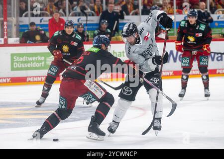 18.10.2024, Eishockey: Penny DEL, Saison 2024/2025, 10. Spieltag, Düsseldorfer EG - Kölner Haie im PSD Bank Dome in Düsseldorf. ZWEIKAMPF zwischen Alec McCrea (Duesseldorfer EG, #03) und Josh Currie (Koelner Haie, #18). Foto: Kirchner-Media/TH Stockfoto