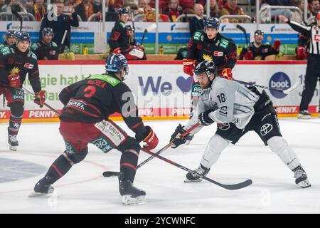 18.10.2024, Eishockey: Penny DEL, Saison 2024/2025, 10. Spieltag, Düsseldorfer EG - Kölner Haie im PSD Bank Dome in Düsseldorf. ZWEIKAMPF zwischen Alec McCrea (Duesseldorfer EG, #03) und Josh Currie (Koelner Haie, #18). Foto: Kirchner-Media/TH Stockfoto