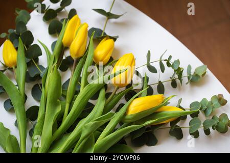 Schöne gelbe Tulpen mit Eukalyptuszweigen auf einem weißen Tisch. Stockfoto