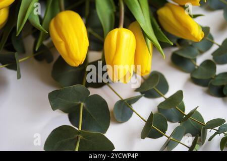 Schöne gelbe Tulpen mit Eukalyptuszweigen auf einem weißen Tisch. Stockfoto