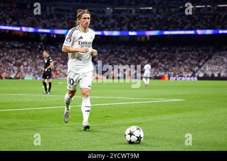 MADRID, SPANIEN - 22. OKTOBER: Luka Modric von Real Madrid während des MD3-Spiels der UEFA Champions League 2024/25 zwischen Real Madrid C.F. und Borussia Dortmund im Estadio Santiago Bernabeu am 22. Oktober 2024 in Madrid. (Foto von QSP) Stockfoto