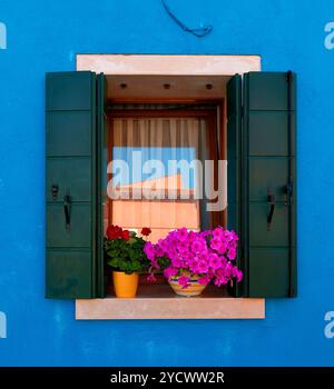 Fenster mit Blumen Stockfoto