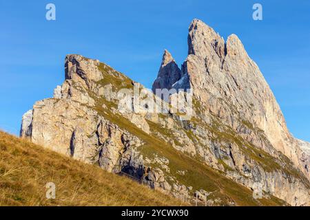 Italien, Seceda Nahaufnahme herbstlicher Bergblick, Fuß der Geiselgruppe, Gröden in der Nähe der Stadt St. Ulrich Stockfoto