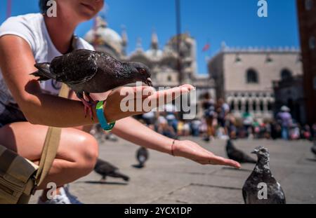 Frau touristische füttern Tauben auf dem Platz - Markusplatz - Venedig Italien Stockfoto