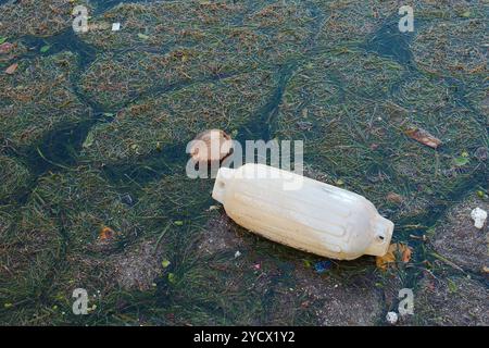 White Boat Marine Dock Stoßfänger und Müll im Bucht Wasser nach Hurrikan Milton Sturm. Künstliche Kunststoffe beschädigte Küstenlinie mit Mikroplastik, Flaschen. D Stockfoto