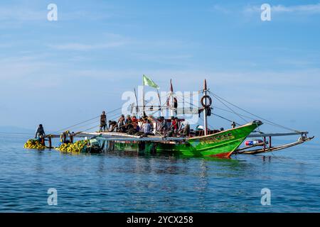 Laiya Beach, Batangas, Philippinen - 16. August 2024: Fischer, die mit dem frühen Morgencach an Land kommen. Die Menschen in den Dörfern der Küstenprovinz leben weiterhin auf traditionelle Weise Stockfoto