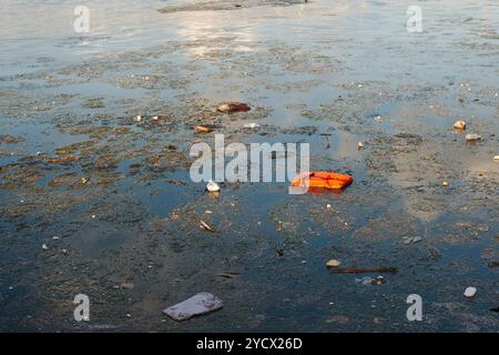 Orangene Schwimmweste und Müll im Bucht-Wasser nach Hurrikan Milton Sturm. Künstliche Kunststoffe beschädigte Küstenlinie mit Mikroplastik, Flaschen. Trümmer in Natu Stockfoto