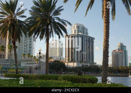 Blick vom Bayshore Dr. in der Nähe von Albert Whitted in das südliche Yachtbecken in St. Petersburg, FL. In Richtung Downtown Skyline mit grünen Palmen. Ruhiges blaues Wasser Stockfoto