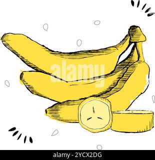 Vektor-Logo für Banane, dekoratives horizontales Poster mit Umrissillustration von 3 ganzen und geschnittenen Bananen Komposition, grafisches Design fruchtiger Druck W Stock Vektor