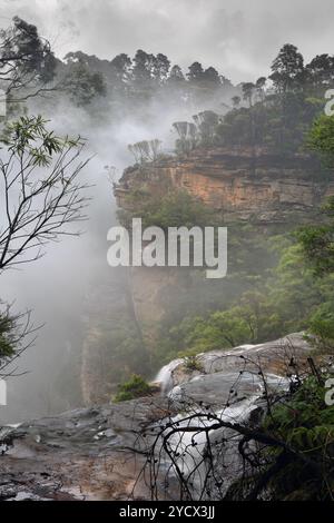 Misty Upper Wentworth Falls Stockfoto