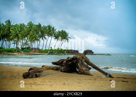 Das Vogelschutzgebiet Kadalundi liegt im Vallikunnu Grama Panchayat im Bezirk Malappuram in Kerala, Indien. 6. Oktober 2024. Stockfoto