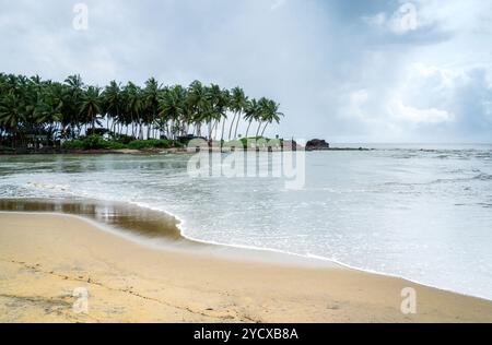 Das Vogelschutzgebiet Kadalundi liegt im Vallikunnu Grama Panchayat im Bezirk Malappuram in Kerala, Indien. 6. Oktober 2024. Stockfoto