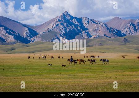 Mann, der Pferde führt, Song Kul Lake Stockfoto