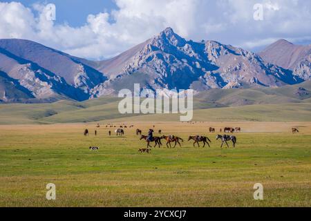 Mann, der Pferde führt, Song Kul Lake Stockfoto