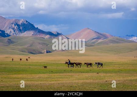 Mann, der Pferde führt, Song Kul Lake Stockfoto