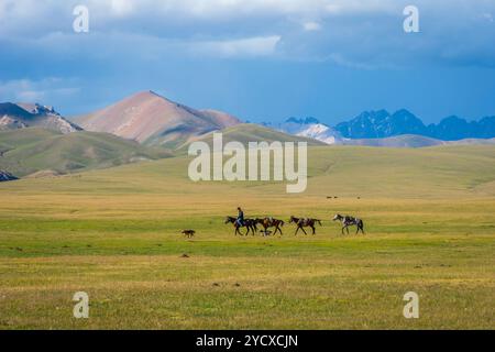 Mann, der Pferde führt, Song Kul Lake Stockfoto