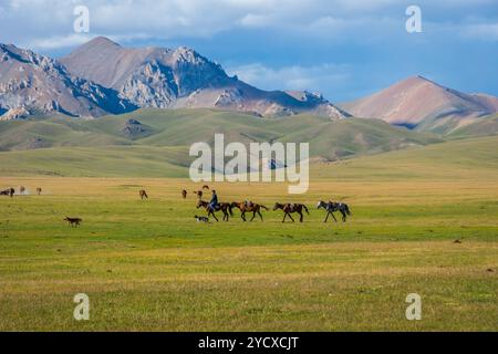 Mann, der Pferde führt, Song Kul Lake Stockfoto