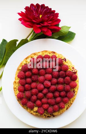Heller Himbeerkuchen auf einem Teller Stockfoto