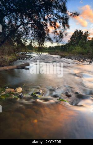 Wasser fließt über ein steiniges Flussbett mit Sonnenaufgang-Reflexen. Nepean River Yarramundi Stockfoto