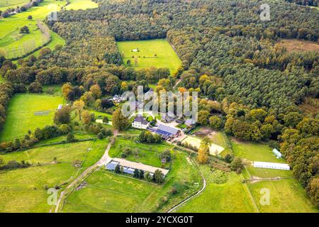 Luftbild, Haus Schwarzenstein, ehemaliger Rittersitz und historische Sehenswürdigkeiten, umgeben von Wald, Drevenack, Hünxe, Niederrhein, Nordrhein-Westfalen, Deutschland ACHTUNGxMINDESTHONORARx60xEURO *** Luftansicht, Haus Schwarzenstein, ehemaliger Rittersitz und historischer Anblick, umgeben von Wald, Drevenack, Hünxe, Niederrhein, Nordrhein-Westfalen, Deutschland ATTENTIONxMINDESTHONORARx60xEURO Stockfoto