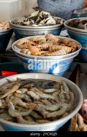 In einem Marktstand in El Salvador werden Schüsseln mit frischen Garnelen und verschiedenen Fischarten ausgestellt, die lokale Küche und Handel hervorheben Stockfoto