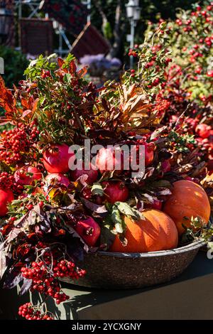 Ein rustikaler Metallkorb gefüllt mit Reifen Granatäpfeln, orangefarbenen Kürbissen und Haufen roter Pyracantha- und Weißdornbeeren, die die üppige Essenz verkörpern Stockfoto