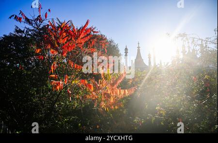 Brighton UK – Herbstsonne und Blick auf Pavilion Gardens Brighton Stockfoto